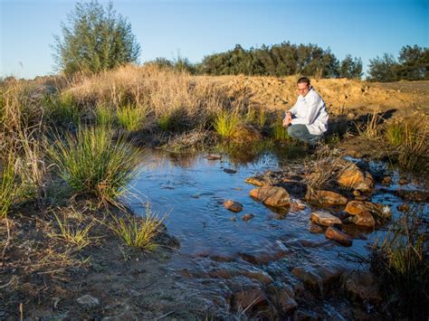 Wetland restoration | CSIR