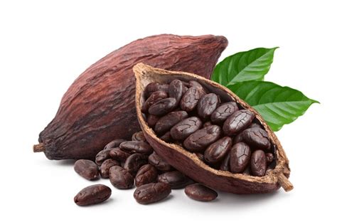 127,878 Cocoa Beans Royalty-Free Photos and Stock Images | Shutterstock