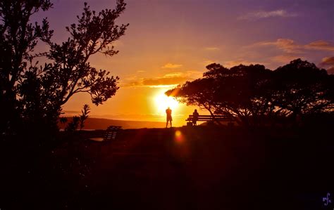 Balmoral Beach | Sunrise sunset, Photography, Sunset