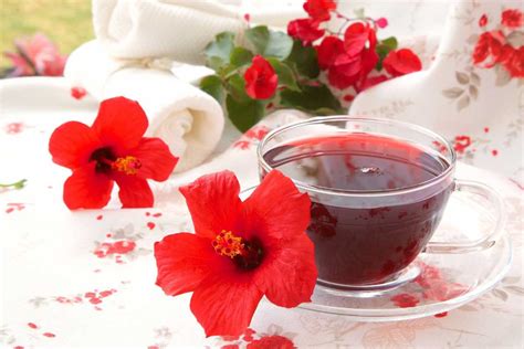 Hibiscus Tea Can Lower Your Blood Pressure – Amla Green