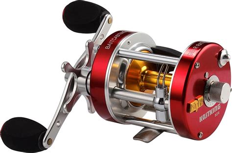 Best Surf Fishing Reels of 2021 (Complete Overview)