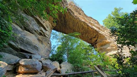 Hiking to Natural Bridge in Red River Gorge: Everything You Need to ...