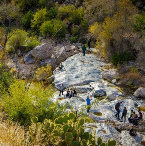 Exploring the Enchanting Desert Landscapes of Mexico - https://mexicodude.com/