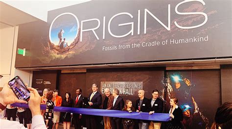 Fossils from the Cradle Now at the Perot | People Newspapers