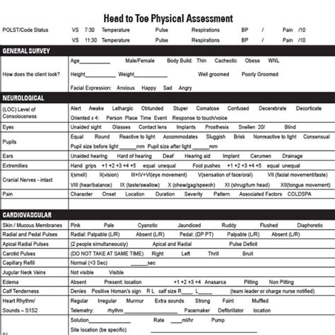 BEST Head to Toe Assessment Template Nursing School New Nurse, Printable 2 Pages Pdf Digital ...