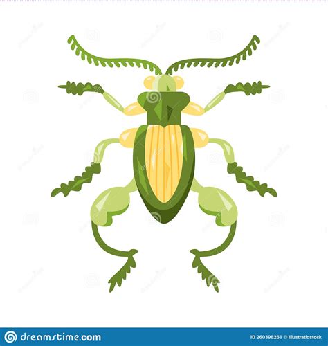 Isolated Colored Cricket Bug Icon with Details Vector Stock Vector - Illustration of wildlife ...