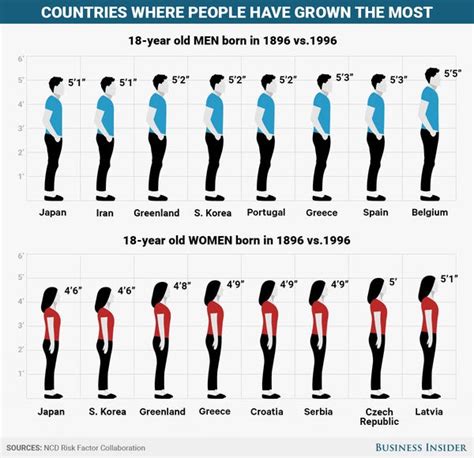 Human height changes over the last 100 years in different countries - Business Insider