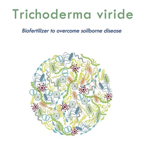 Trichoderma Viride Powder Biopesticide Supplier & Manufacturer