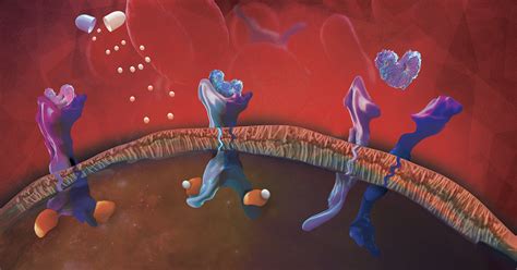 Incorporating Scientific Advances into Myelofibrosis Treatment Plans - AXISMedEd