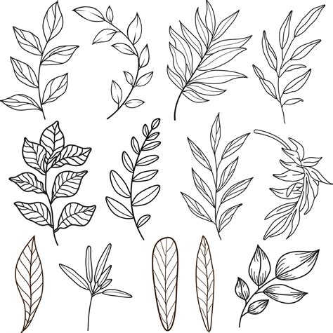 Leaf Drawing Vector Art, Icons, and Graphics for Free Download