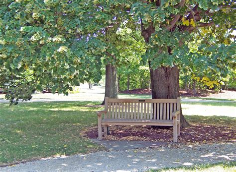 Park Bench Free Stock Photo - Public Domain Pictures