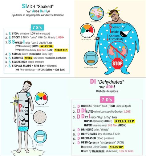 Difference between Syndrome of Inappropriate Antidiuretic Hormone ...