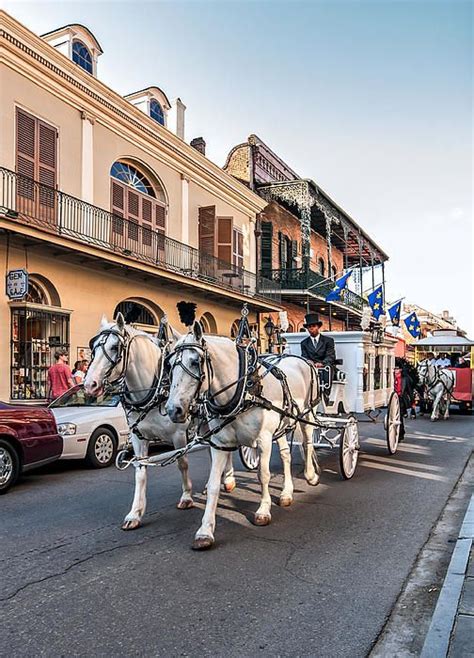 New Orleans Funeral by Steve Harrington | Louisiana travel, New orleans, Florida travel