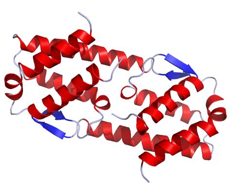 Mepolizumab Nedir? | Probiyotix.com