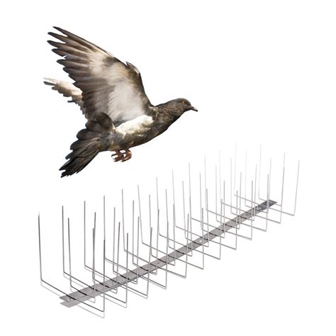 4 Rows Metal welded large Birds repellent Spikes Stainless Steel Anti ...