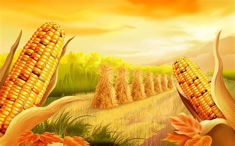 Corn Field Wallpapers - Wallpaper Cave