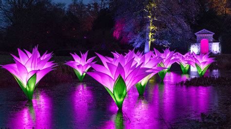 Fort Worth Botanical Garden ‘Lightscape’ opens with 1 million lights on walking trail