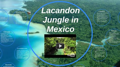 Lacandon Jungle in Mexico by Rachel Sukonnik on Prezi