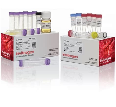 Invitrogen™ TOPO™ TA Cloning™ Kit for Subcloning, with One Shot™ TOP10 chemically competent E ...