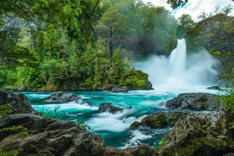 Valdivian Temperate Forest: rainforest at the end of the world - Chile Travel | Temperate ...