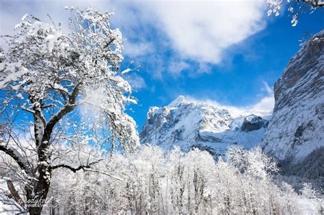 15 Gorgeous Photographs of Grindelwald in Winter