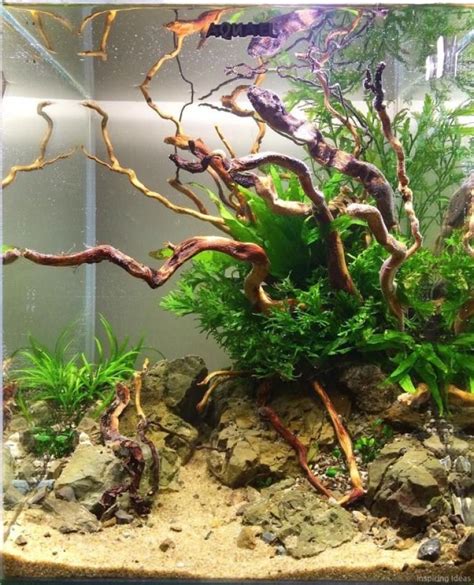 30 Aquascaping Ideas for Inspirations | Fish tank decorations, Fish aquarium decorations, Aquascape