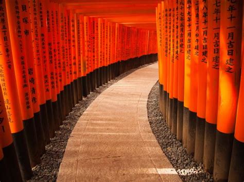 Japan culture tour, Shoguns & Samurai | Responsible Travel