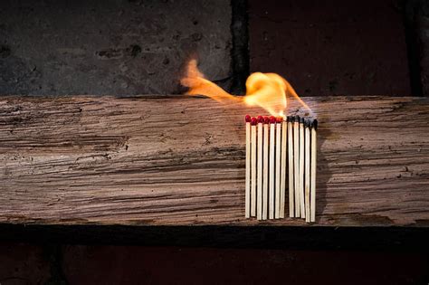 Royalty-Free photo: Lined and fire safety match sticks | PickPik