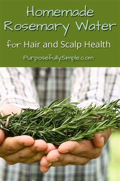 Homemade Rosemary Water for Hair and Scalp Health | Recipe | Rosemary for hair, Rosemary water ...