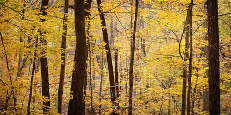 Everyday Magic – Wisconsin Fall Colors at Devil’s Lake State Park ...