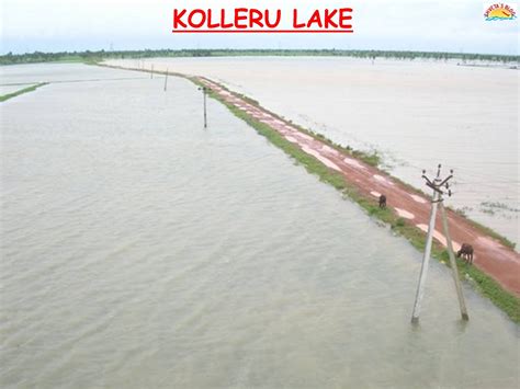 MIRACLE: TOURISM IN INDIA: KOLLERU LAKE ,VIJAYWADA ,ANDHRA PRADESH