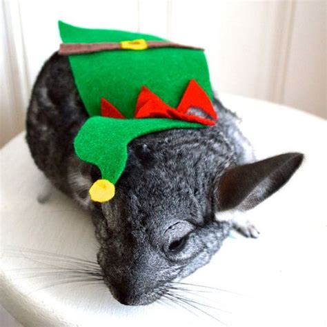 Christmas elf costume. Chinchilla / hamster / by laMarmotaCafe, $9.00 | Pet halloween costumes ...