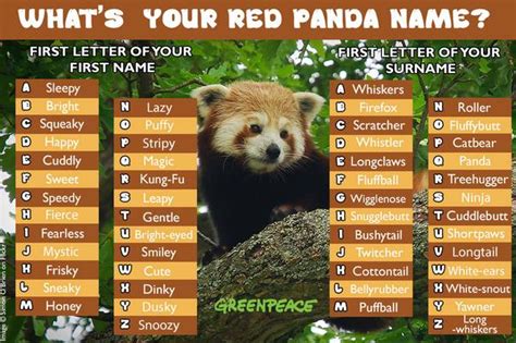 Panda names, Tree hugger, Scratcher