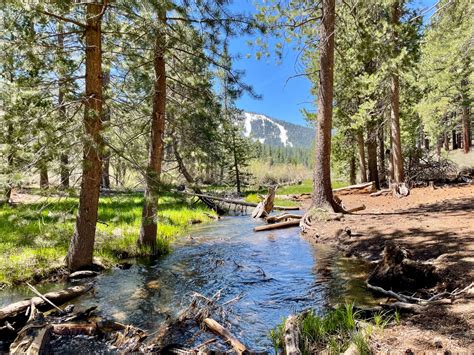 21 Breathtaking Lake Tahoe Hiking Trails - Avocados in the Alpine