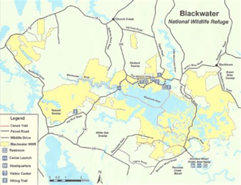 Blackwater National Wildlife Refuge - Men's Journal