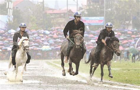 Horse festival in Lao Cai to celebrate northern highlands culture, sports