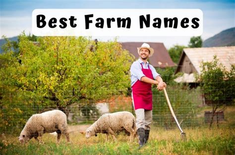 371 Best Farm Names - Catchy, Unique, Romantic, Clever