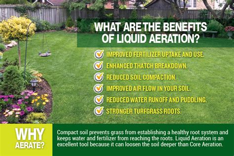 Liquid Aeration - Lawnganics - An Organic Approach to Lawn Care