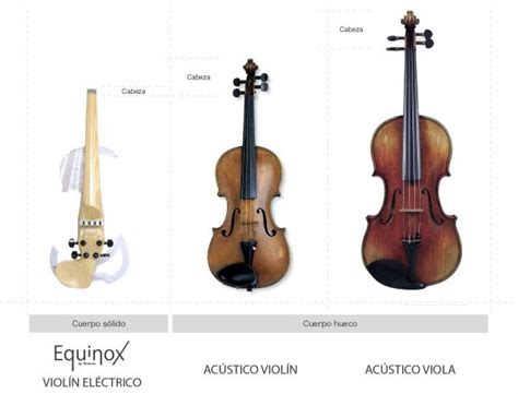 ¿Cuáles son las diferencias entre un violín y una viola? – 3Dvarius