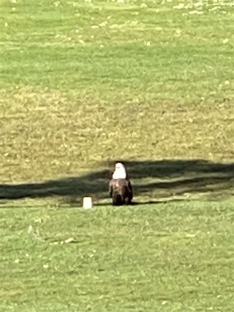 Women's Club - Discovery Bay Golf Club