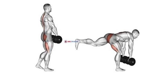 Dumbbell Single Leg Deadlift - Home Gym Review