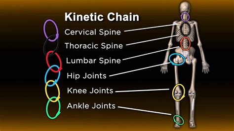 4 Push-Up Variations to Strengthen Your Kinetic Chain | Seal Grinder PT