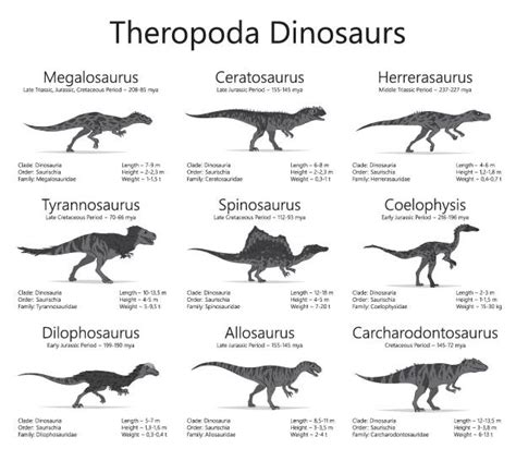 Herrerasaurus Size