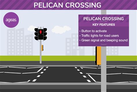 A guide to pedestrian crossings - Ageas