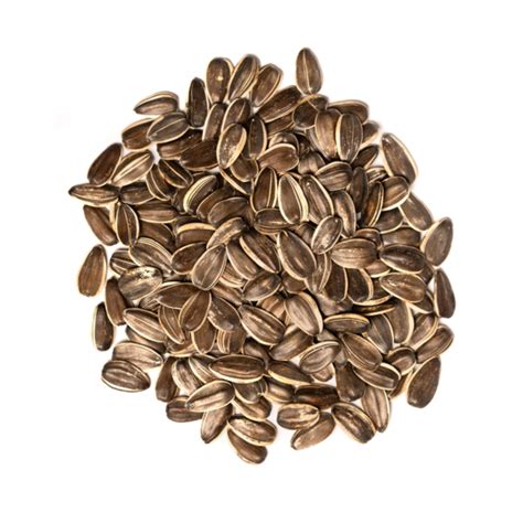 Sunflower Seeds - Canada Nut