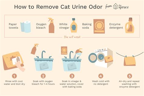 How to Remove Cat Urine Odor From Laundry