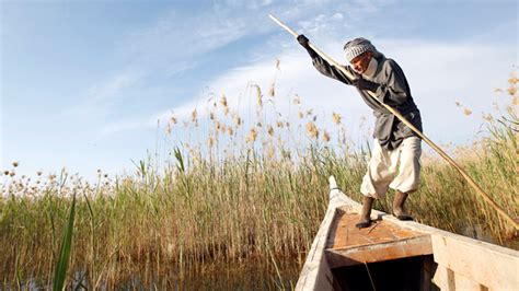 Iraq's 'Marsh Arabs' look to restore once-lost culture with help from US scientists | Fox News