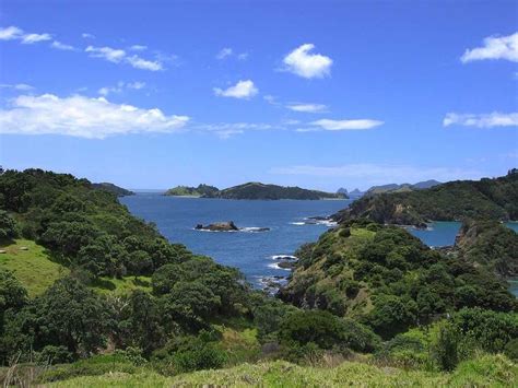 9 Beaches in Paihia | Holidify