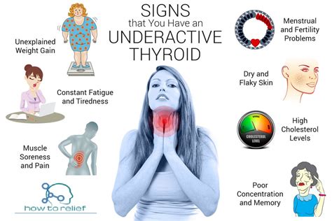 Underactive Thyroid (Hypothyroidism) Symptoms, Causes & Treatment » How To Relief