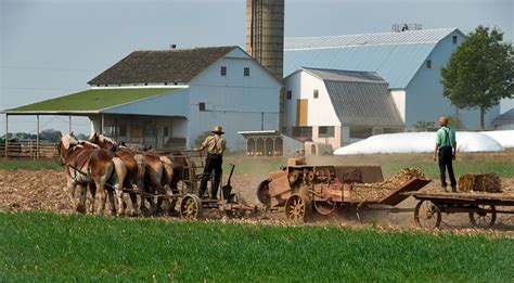 The Amish Educational Resources K12 Learning, People and Their Environment, Social Studies ...